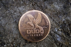 Kalta dudu monēta